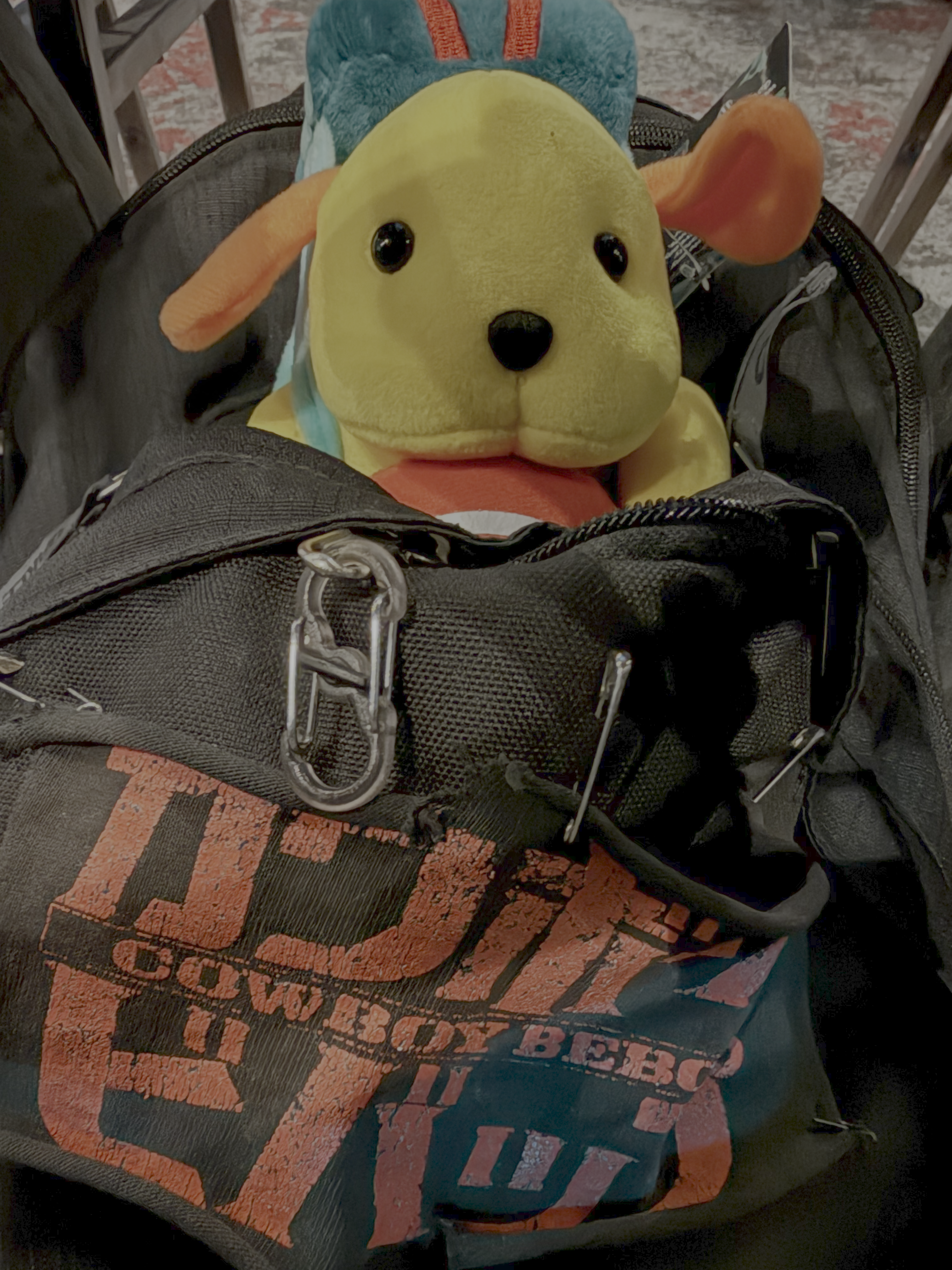 Wapuu from WordCamp US 2025 coming home with me in my backpack